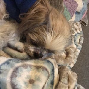 Meet your Posher, Kevin